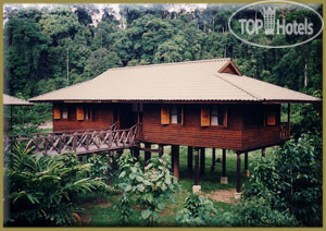 New photos from tourists Borneo Rainforest Lodge