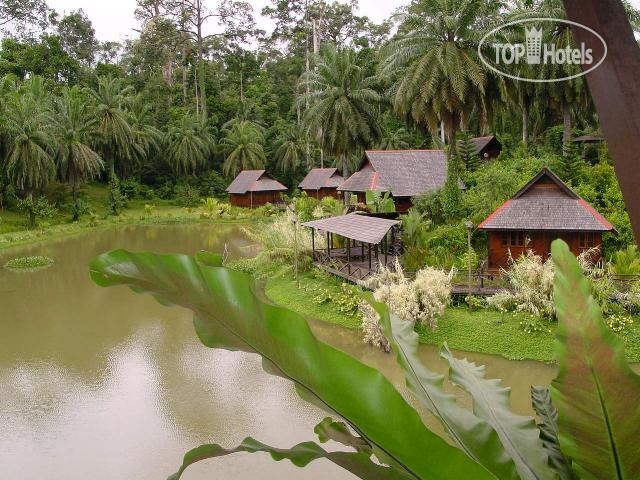 New photos from tourists Sepilok Nature Resort 3*