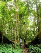 New photos from tourists Gaya Island Resort 5*