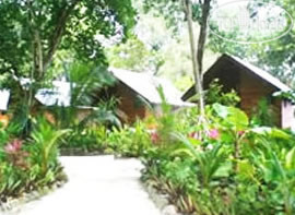 New photos from tourists Dolphin Bay Resort & Peleliu Divers 3*