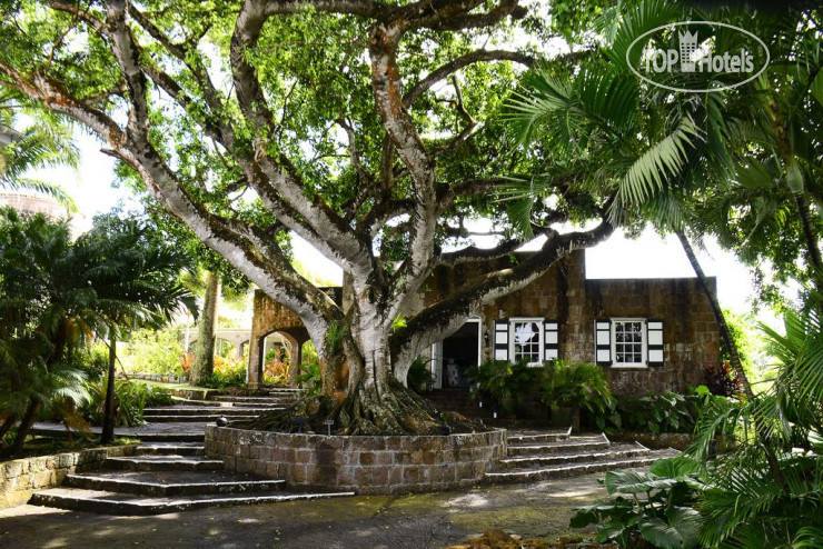 New photos from tourists Montpelier Plantation & Beach 5*
