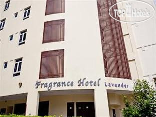 Hotel photo Fragrance Hotel - Lavender 2*