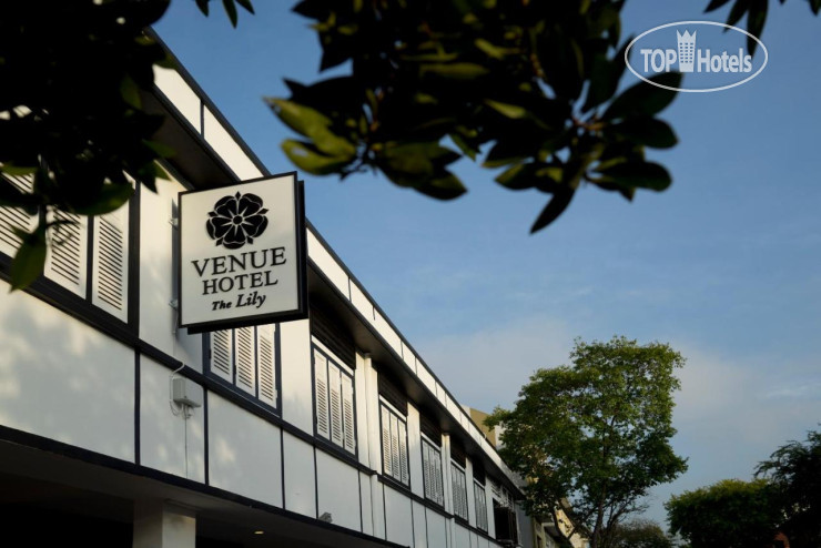 Hotel photo Venue Hotel The Lily 3*