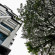 Фото Harbour Ville Hotel