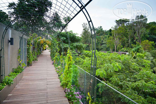 New photos from tourists Siloso Beach Resort Sentosa 4*