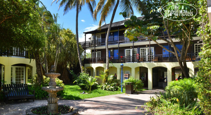 New photos from tourists Lions Dive & Beach Resort 4*