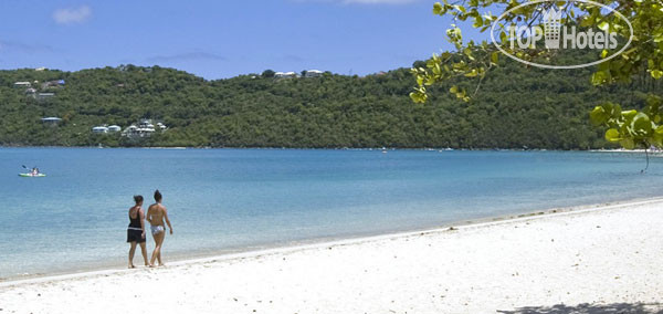 New photos from tourists Windward Passage 3*