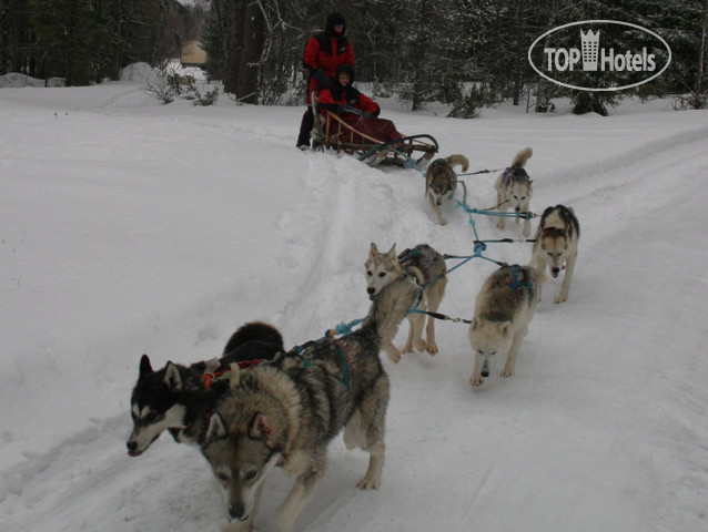 New photos from tourists Vanna Pappila 4*