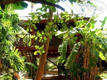 Hotel photo Fruit Tree Lodge 