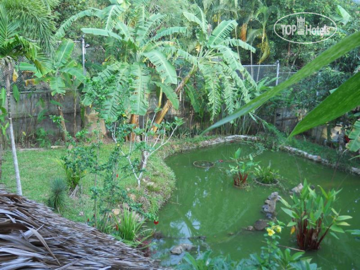 New photos from tourists Frog & Catfish Country Inn 2*