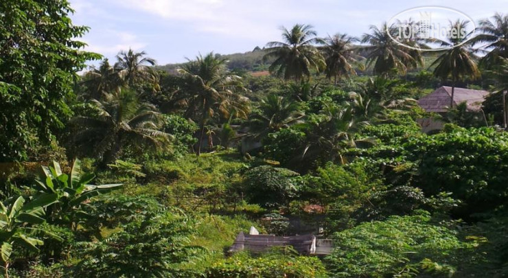 New photos from tourists Elephant's End Guesthouse