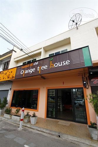 Hotelier's photos Orange Tree House 2*