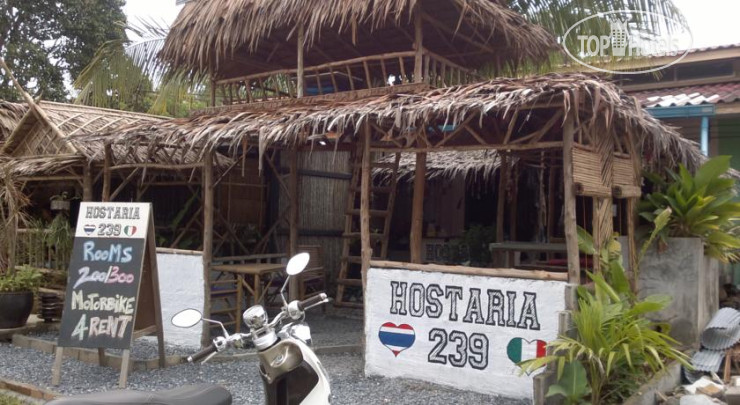 Hotel photo Hostaria 239 Budget B&B 