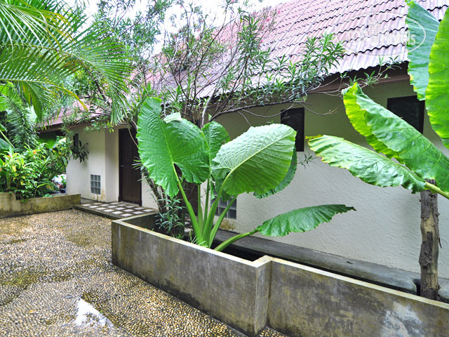 New photos from tourists Phi Phi Arboreal Resort 3*