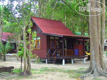New photos from tourists Joy Bungalow