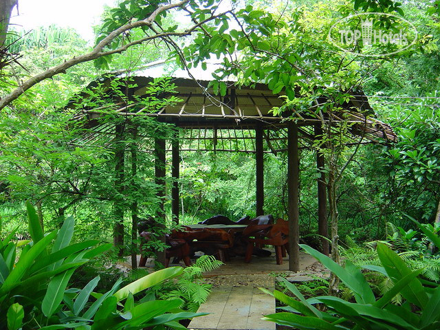 Новые добавленные фото туристов Mom Chailai Forest Retreat 2*