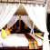 Photos Avantika Boutique