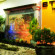 Photos BT Inn Boontra