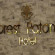 Photos New Forest Patong