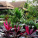 Фото Montra