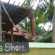 Photos The Shore Samui