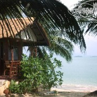 Фото Como Resort