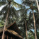 Фото Four Seasons Resort Koh Samui