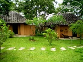 Photos Amy's Earth House