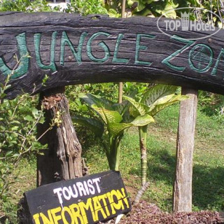 Photos Jungle Zone