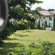 Photos The Thamna