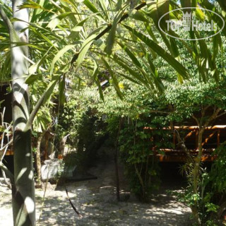 Photos Pasai Beach Lodge