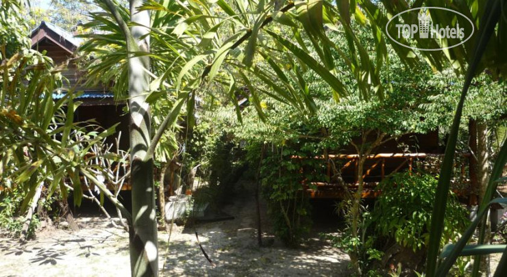Photos Pasai Beach Lodge
