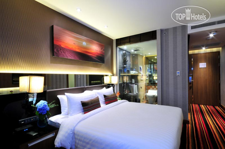 New photos from tourists The Continent Hotel 5*