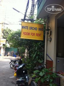 Hotelier's photos White Orchid 3*