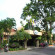 Photos Palm Garden