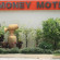 Фото Money Motel