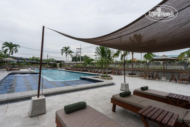 New photos from tourists Olive Tree Hotel 4*