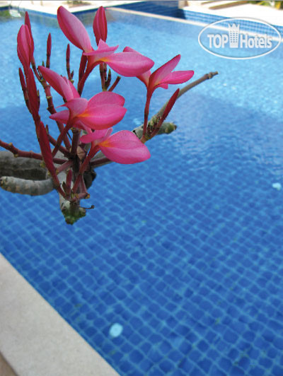 New photos from tourists The Zen Hotel Pattaya 3*