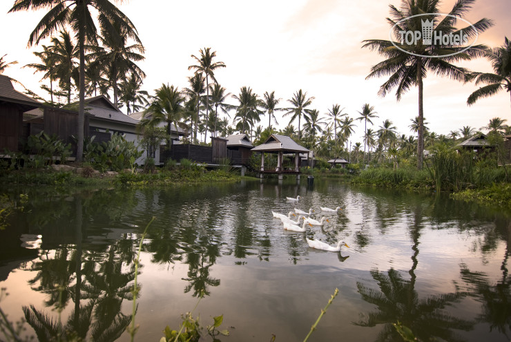 New photos from tourists Avani Mai Khao Phuket Suites & Villas 5*