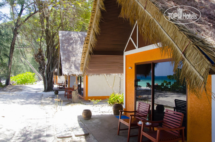 Новые добавленные фото туристов Coral Island Resort 3*