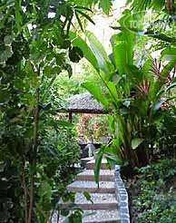 Новые добавленные фото туристов Club Bamboo Resort 3*