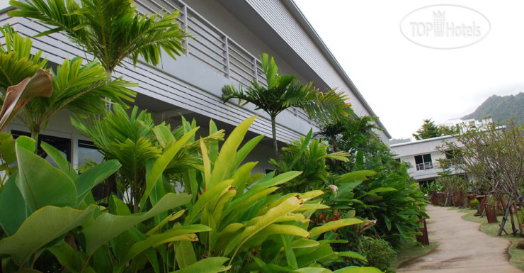 New photos from tourists Phukamala Suite 2*