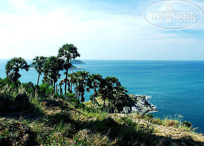 New photos from tourists Neptuna 3*