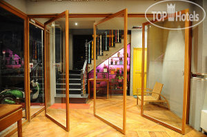 Hotelier's photos The Oddy Hotel 2*