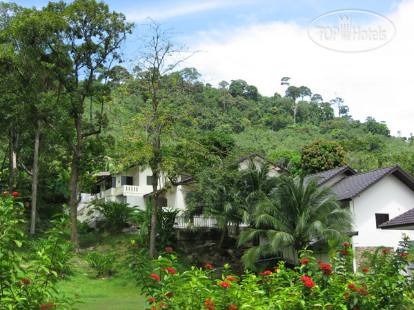 New photos from tourists P.S Hill Resort 3*