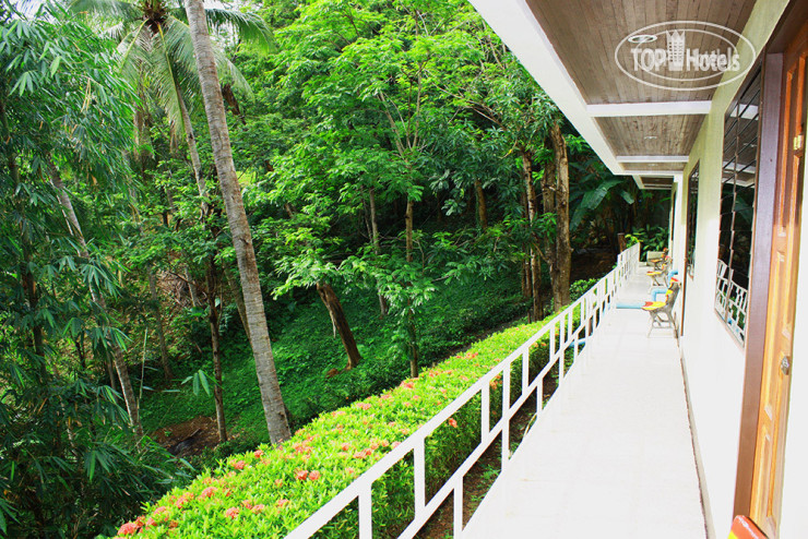 New photos from tourists Kata Mountain Inn 3*
