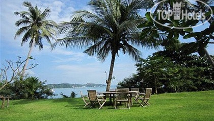 New photos from tourists Noble House 3*