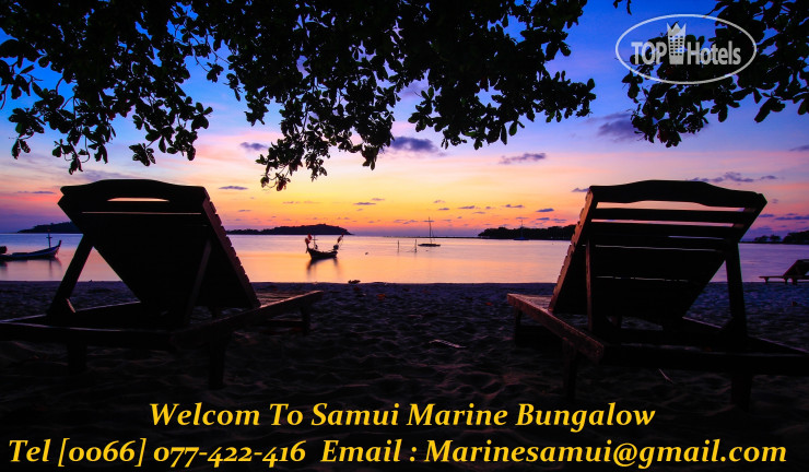 New photos from tourists Marine Beach Bungalow 3*