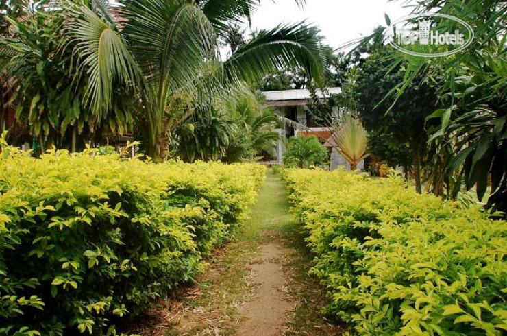 New photos from tourists Palm Leaf Resort Koh Tao 3*
