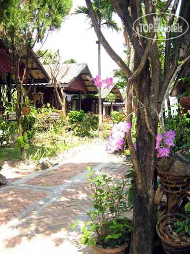 New photos from tourists Sunrise Bungalow 1*